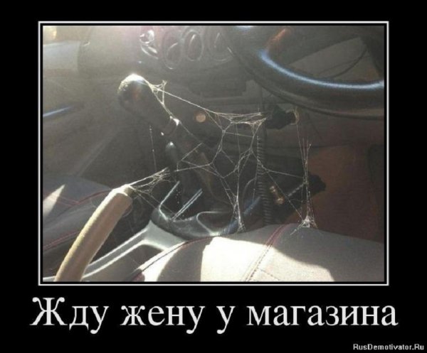 Жду жену у магазина