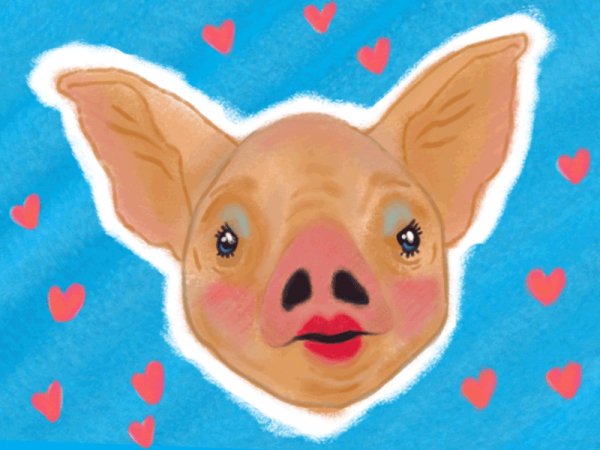 Pig