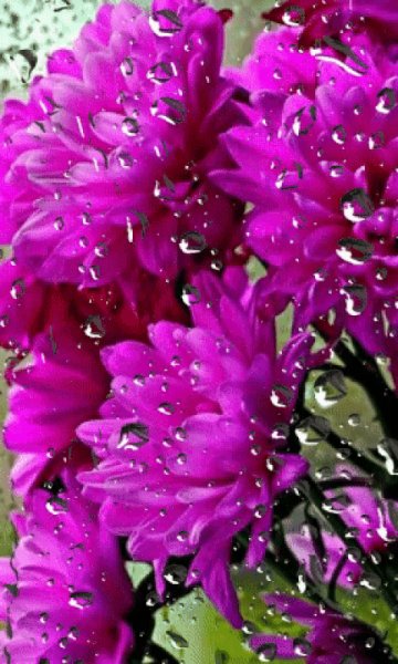 file_99688617