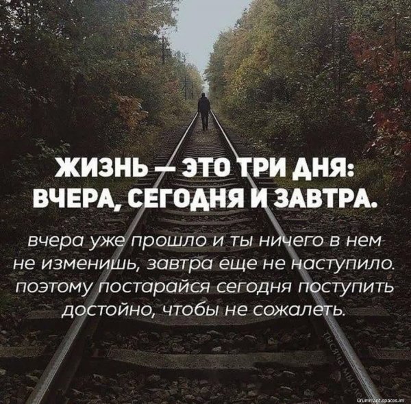 Zhizn...-