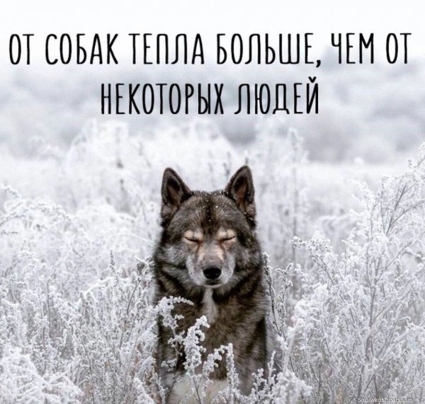 file_93391702