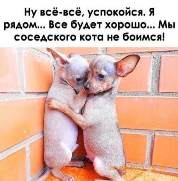 Успокойся!