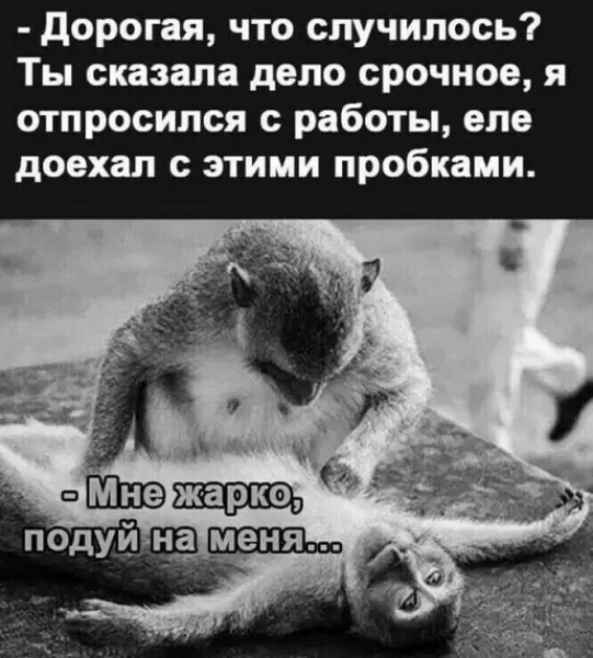 file_99977332