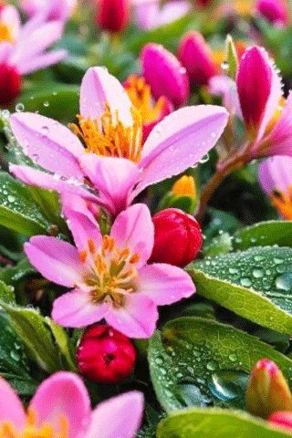 file_99654755