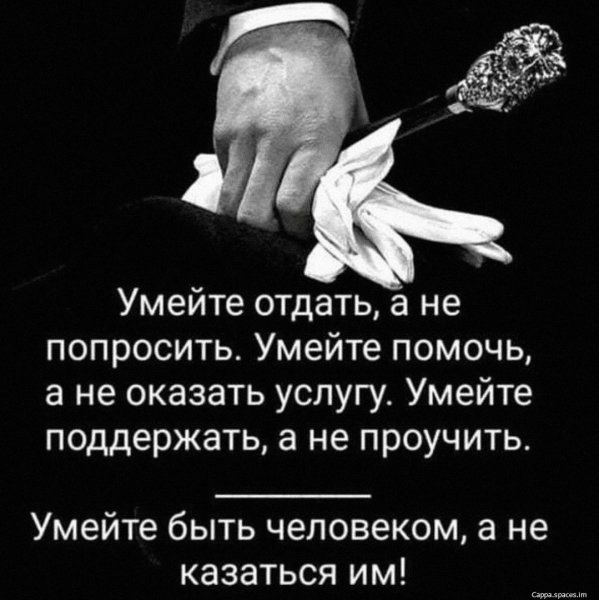 Xzbb-PkZhxQ-