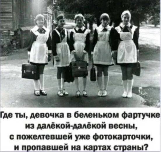 file_99644755