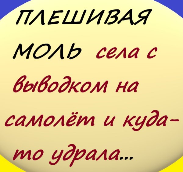 ЗАСРАНЕЦ ЧЕМОДАННЫЙ