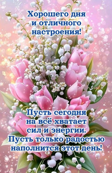 IMG 20250515 112458 967