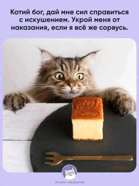 file_99997467