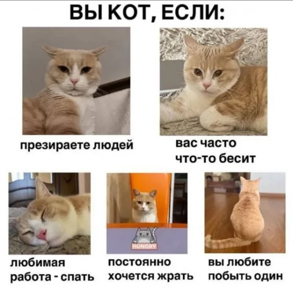 file_99977307