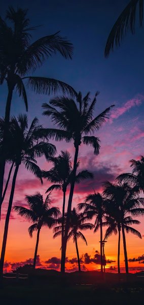 file_99968999