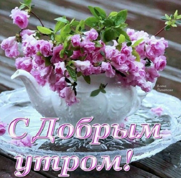 С добрым утром!