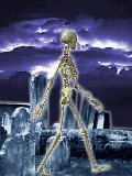 file_73947919