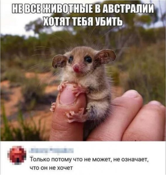 Screenshot 20250603-141238