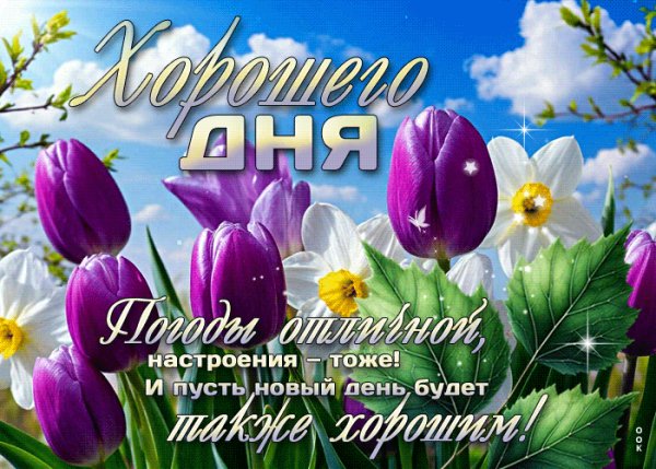 file_99657790