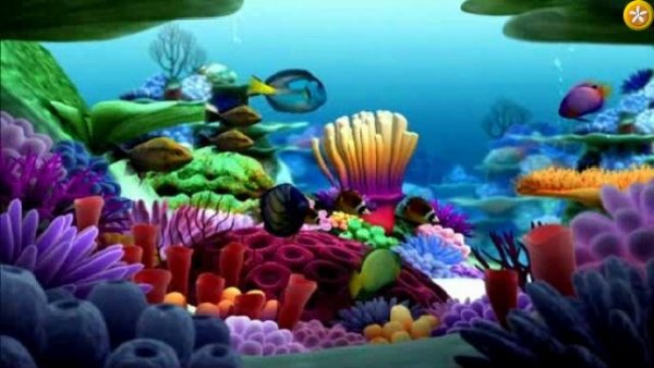 SeaAquarium