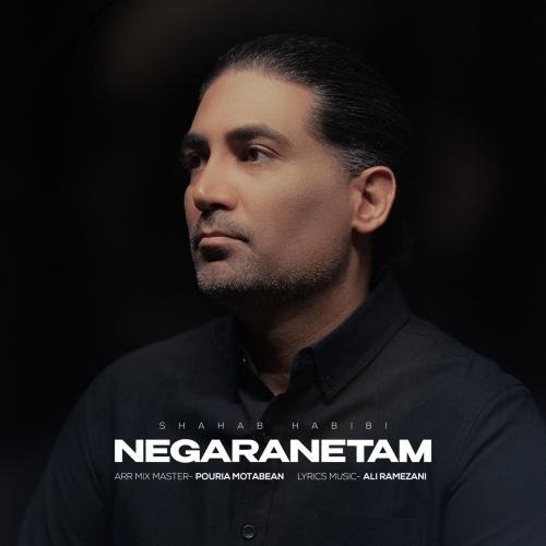 Shahab Habibi - Negaranetam