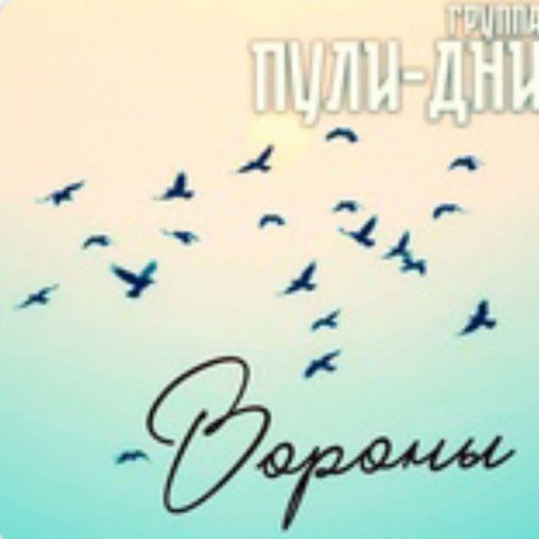 Группа Пули-Дни - Вороны