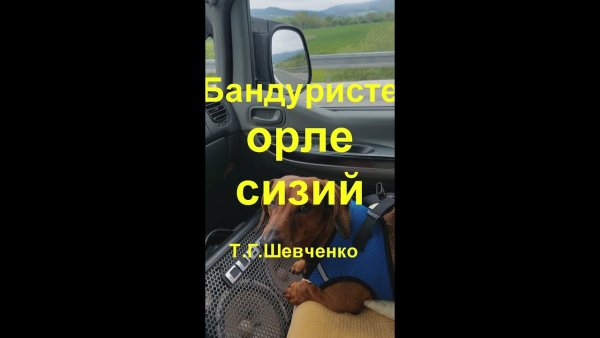 LeriOne | Українські пісні - Бандуристе орле сизий