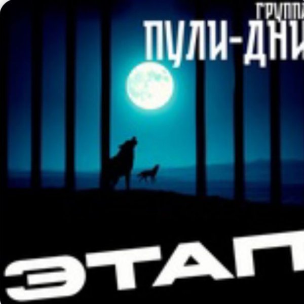 Группа Пули-Дни - Матери