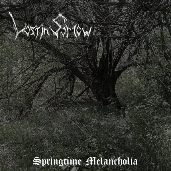 Lost in Sorrow - Apus