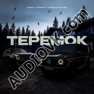 Andery Toronto - ТЕРЕМОК