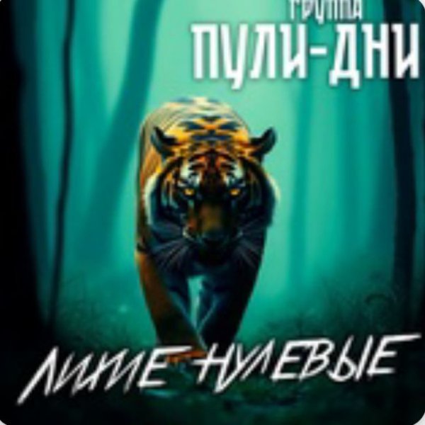 Группа Пули-Дни - Откидка