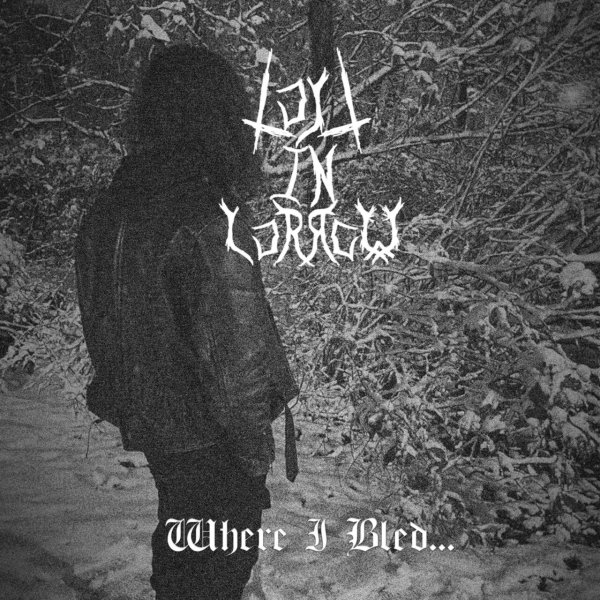 lost in sorrow - Where I Bled...