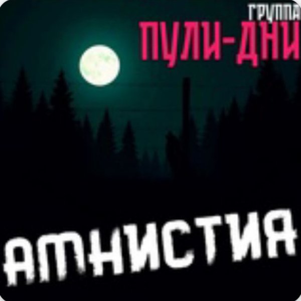 Группа Пули-Дни - Амнистия