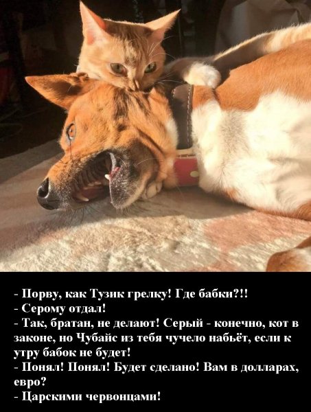 Опаньки!