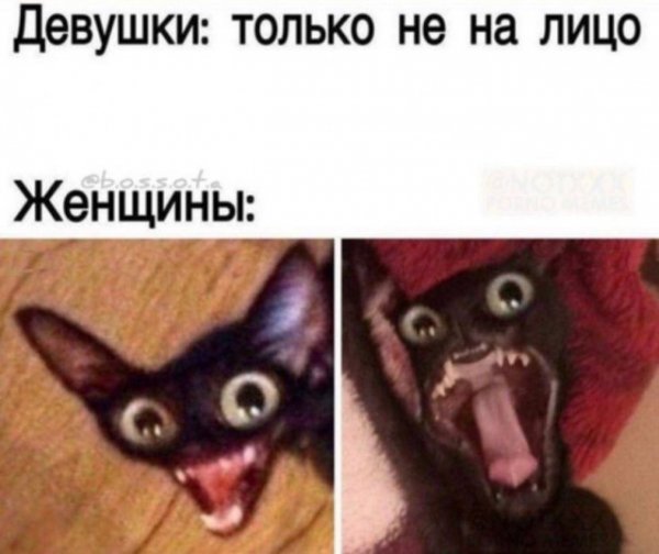 a8d14b 20058225