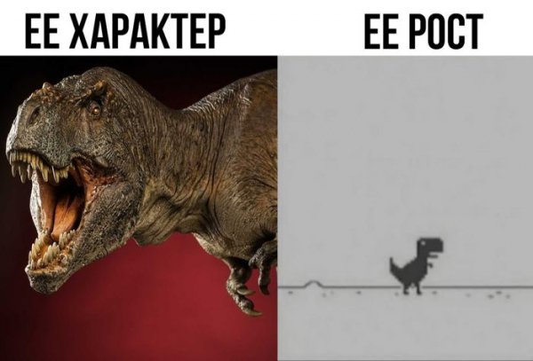 Novaja-podborka-smeshnyh-memov-i-prikolnyh-kommentariev-11