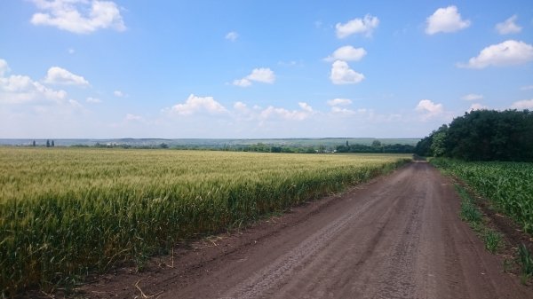 DSC 0836