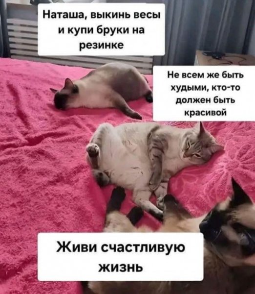 13e7a5ac65 20058502