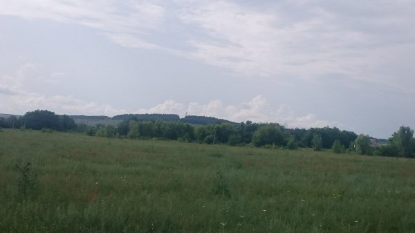 DSC 0812