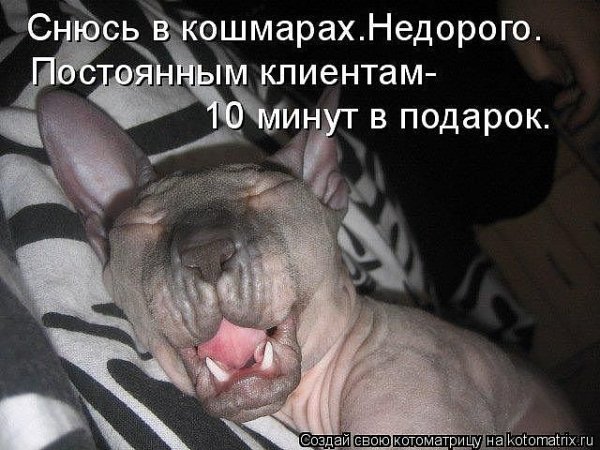 Недорого