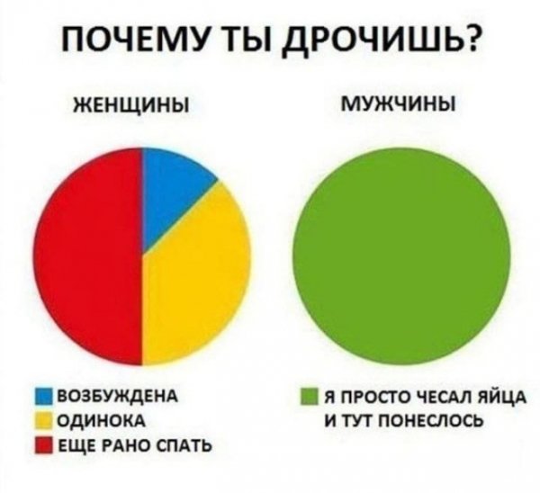 0a2bb6dad5 20056904