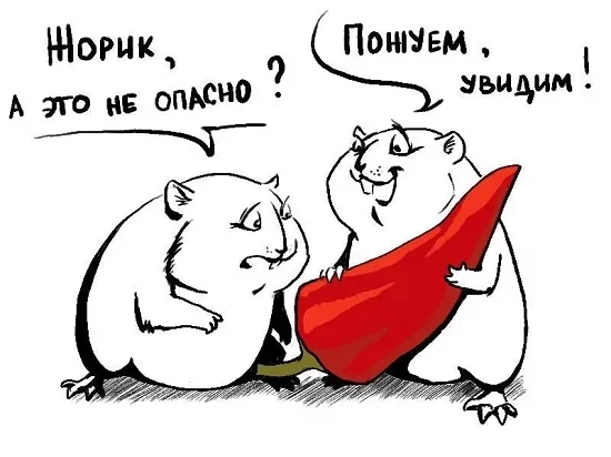 p.600.600.0