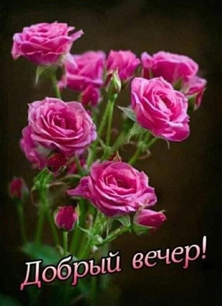 Добрый вечер!
