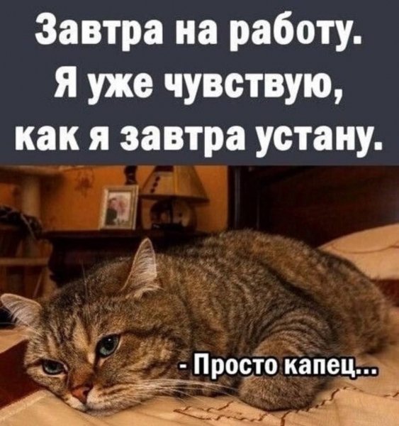 picture_389578756