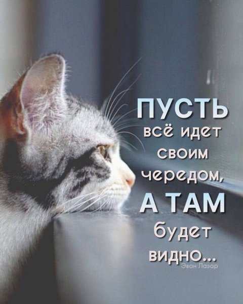 UibadzHfPtmuq43rzLLToSJYgy4auebPCGcoK3Js8VUa16xJPxj34sO3vpLD