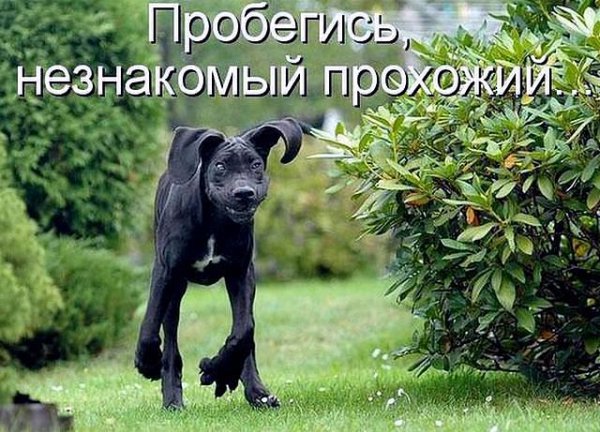 Пробегись...