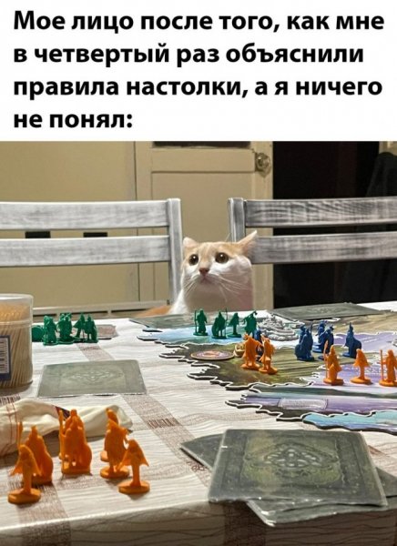 B31b686547 novye-memy-i-smeshnye-kartinki-s-nadpisjami11