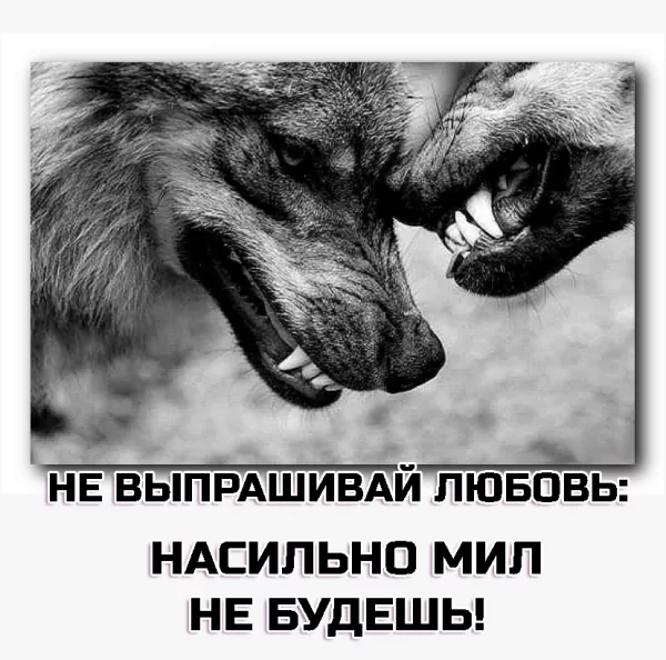 IMG 20250530 192325
