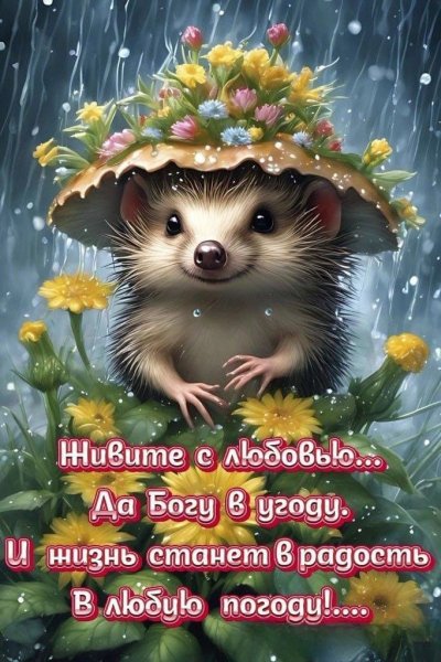 E8bb9b17fa6e7b050ea2030495477c93