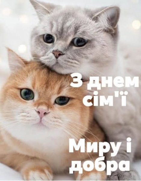 15.05.2025.