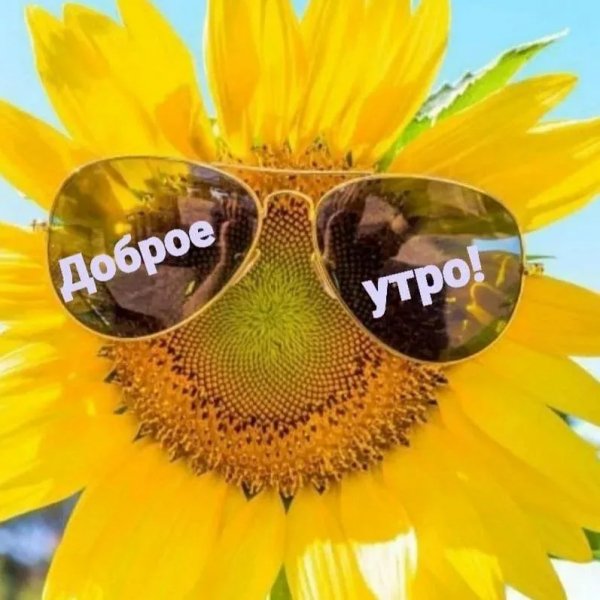 Друзья мои!