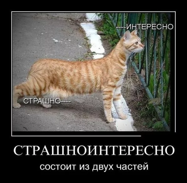 picture_373567791