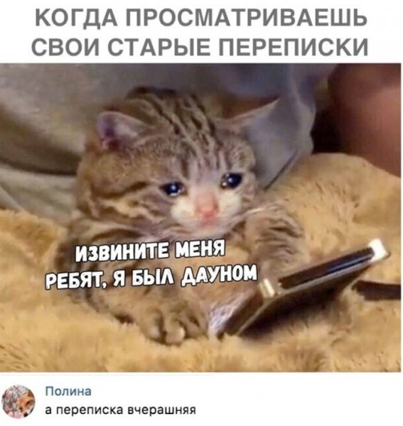 Sbornik-prikolnyh-kartinok-i-zabavnyh-kommentariev-00