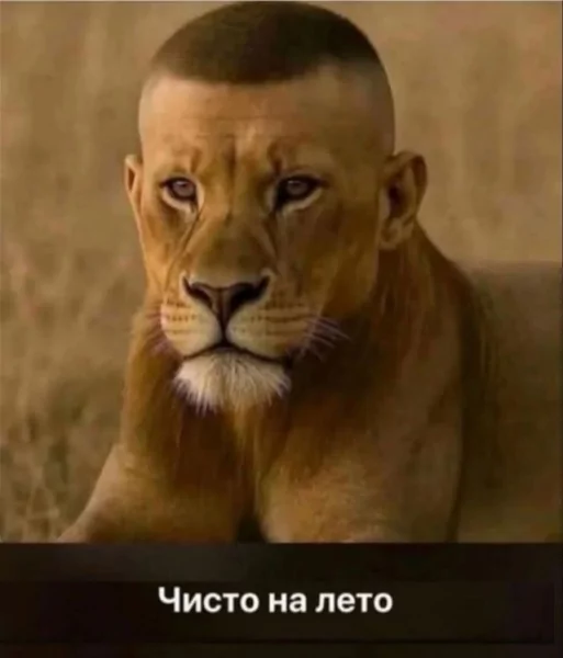 Юмор